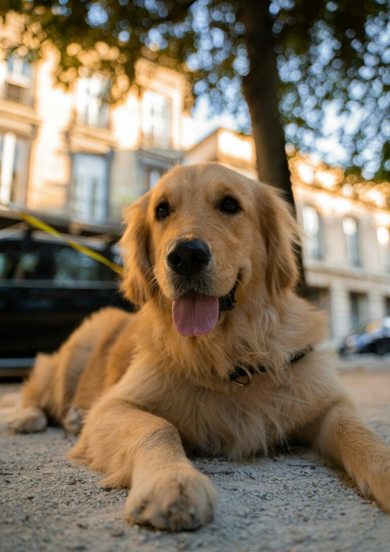 anthony-persegol-xAqTU0VZRyc-unsplash