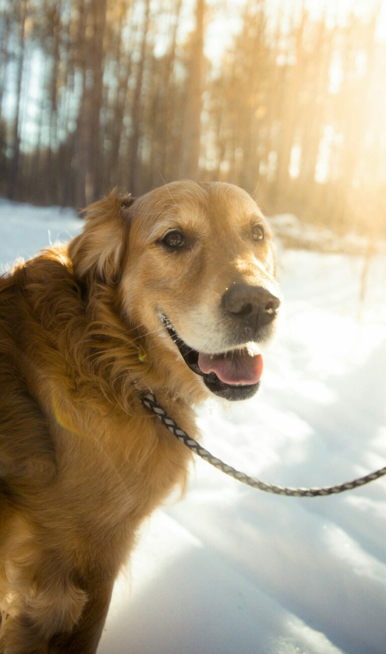 brady-rogers-sKL2G_Uugh4-unsplash