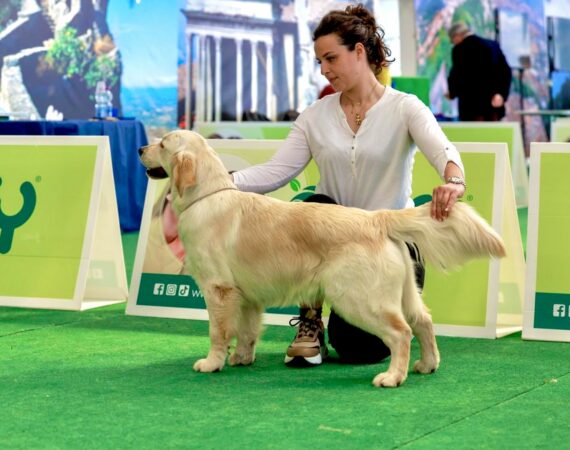 Amy GioGolden Umbria