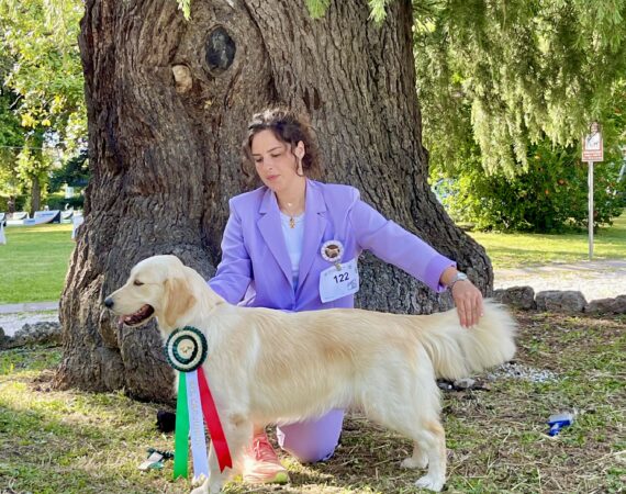 Amy GioGolden Umbria