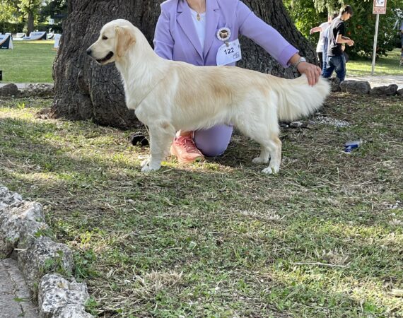 Amy GioGolden Umbria