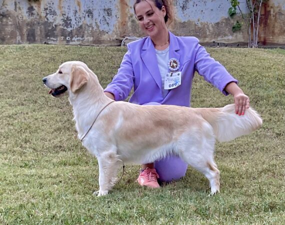 Amy GioGolden Umbria