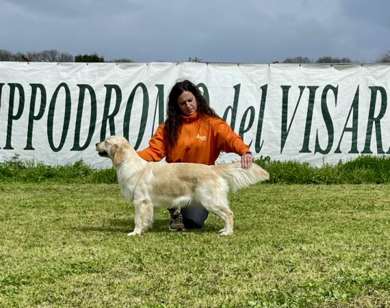 Amy GioGolden Umbria