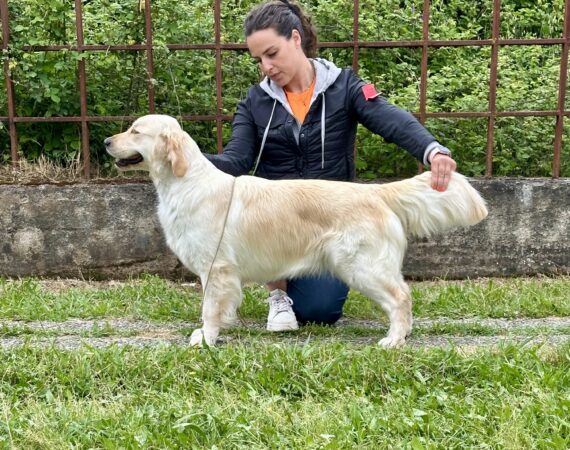 Amy GioGolden Umbria