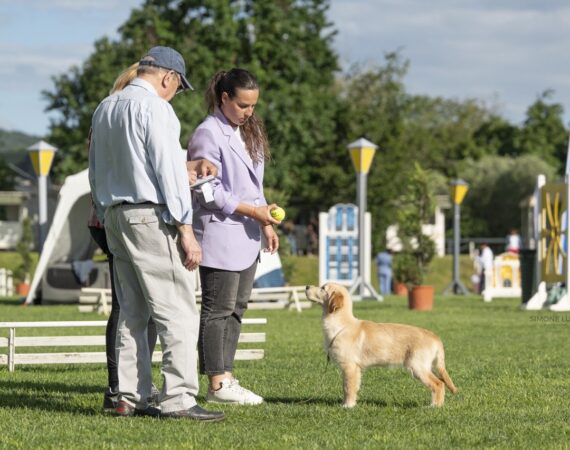 Lola GioGolden Umbria